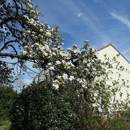 Au Val Des Meuris Taintrux Exterior foto