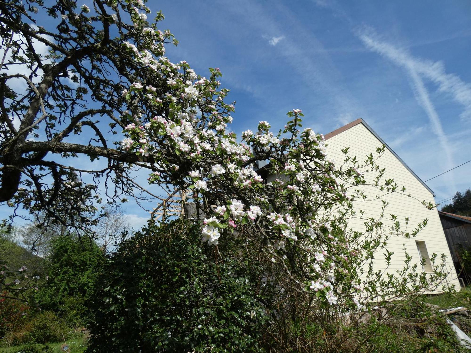 Au Val Des Meuris Taintrux Exterior foto